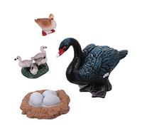 Hohopeti 1 Set Simulated Animal Models Set of Life Growth Cycle for Teaching Safe Smooth Plastic Figures for Home Garden Educational Fun