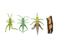 Hohopeti 1 Set Simulation Growth Cycle Model Educational Life Cycle Models for Natural Science Learning for Imagination and Cognitive Development
