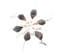 Hohopeti 12pcs Interactive Cat Teasing Set Adorable Simulation Mice for Chewing Play Engaging Kitten Chew Playthings for Indoor Fun