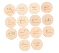 Hohopeti 14pcs Discs for Photography Adorable Props for Newborn Monthly Growth Gender Reveal Celebrations Keepsakes for Capturing Precious Moments