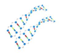 Hohopeti 2pcs Dna Molecular Model Kit Double Helix Structure Science Teaching Prop for Students Educational Science Kit with Gene Mutation Components