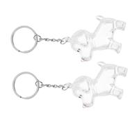 Hohopeti 2pcs Pet Hair Souvenir Box Dog Memorial Couple Dog Keychain Keepsake Pet Keepsake Keychain Key Fob Abs Transparent