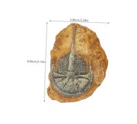 Hohopeti 2Pcs Resin Fossil Terrarium Decors for Reptiles Decorative Landscape for Lizards Spiders Hamsters Pet Habitat with Dark Atmosphere Design