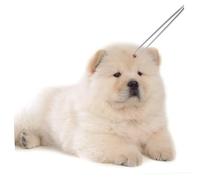 Hohopeti 3 Pcs Stainless Steel Pet Hair Cleaning Tweezers with Anti-skid Ergonomic Handle for Accurate Flea and Hair Removal Grooming Tools for Cats and Dogs