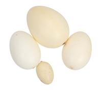 Hohopeti 4pcs Lifelike Bird Egg for Assorted Speckled Simulation Eggs Including Pheasant Native Chicken Quail Goose Lightweight Educational and Painting Practice