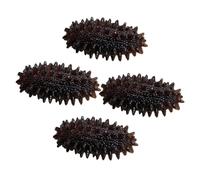 Hohopeti 4pcs Realistic Mini Sea Cucumber Models PVC Decorative Fake Seafood Props for Restaurant Display Educational Use and Home Decor
