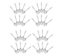 Hohopeti 50pcs Stainless Steel Bird Seed Scoop for Parrots Hand Rearing Feeding Spoon Portable Lightweight Milk Feeding Tool for Exotic Birds Cockatiel Budgies