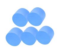 Hohopeti 5pcs Reusable Filter Sponge for Ant Nest Care Soft Test Tube Sponge for Educational Supply Ant Workshop Accessories Safe and Convenient Maintenance