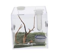 Hohopeti 5sets Jumping Spider Habitat Box Spider Cage for Easy Feeding and Care and Breathable Design for Small Insects and Pets
