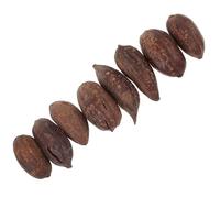 Hohopeti 8pcs Natural Dried Fruit Parrot Chew Durable Bird Biting Foraging for Macaw Cockatiel Conure Safe Healthy Shredding to Keep Pets Mentally Stimulated