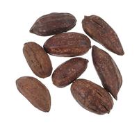 Hohopeti 8pcs Natural Dried Fruit Parrot Chew for Birds Foraging Shredding for Budgies Cockatiels Conures and Cage Birds to Promote Mental Health and Beak Grinding