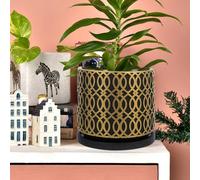 Hohopeti Creative Black Gold Curve Cement Succulent Flowerpot Tray, 15x15x13.5cm Cement Planter for Indoor Gardening, Modern Planting Container for Succulents and Small Plants