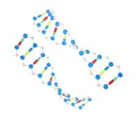 Hohopeti Dna Double Helix Model Teaching Kit for Students, Human Genes Structure Assembly Educational Science Toy Set of 2, Molecular Biology Learning Tool for Classroom and Lab