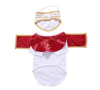 Hohopeti Dog Costume Halloween Godfather Transformation Set S Size PET Party Clothes for Outdoor Activities