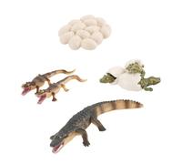 Hohopeti Educational Growth Cycle Model for Realistic Amphibian Simulation Plastic Egg and Animal Figures Learning Aid for Imagination Development and Teaching