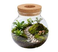 Hohopeti Glass Hydroponic Planter with Cork Lid Small Tabletop Terrarium Vase for Succulent Propagation Water-based Plant Growth Station for Home Office Decoration