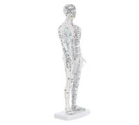 Hohopeti Male Human Body Acupuncture Model with Realistic Meridians and Pressure Points Material Medical Training Mannequin for Chinese Medicine Students and Professional Practice