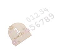 Hohopeti Monthly Milestone Cards Double-Sided Wooden Flower Growth Signs Newborn Photo Props with Daisy Accent for Shower Keepsake and Monthly Development Tracking
