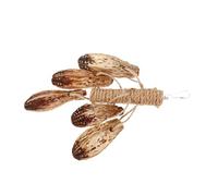 Hohopeti Parrot Chew Toy for Birds Natural Fruit and Jute Hanging Plaything for Birds Foraging and Grinding and Sturdy for Exercise and Entertainment