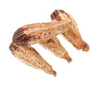 Hohopeti Parrot Foraging Chewing Toy Natural Nut Biting Shredding Bird Toy 4pcs Enrichment Snack for Small Parrots and Birds Indoor Use