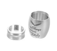 Hohopeti Pet Urn Cat Casket Small Animal Urn Holder for Dog for Cremated Remains Ashes Silver Stainless Steel