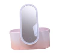 Hohopeti Portable LED Makeup Storage Box with Pink Gradient Handheld Cosmetic Organizer, Rotatable Mirror with Lights, Battery-powered Skincare and Jewelry Holder for Travel and Vanity Use