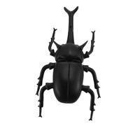 Hohopeti Realistic Plastic Beetle Model for Educational Speech Language Learning Vivid Insect Figurine for Preschool Early Cognition Development