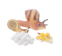 Hohopeti Realistic Snails Growth Cycle Model Plastic Educational for Cognitive Learning Teaching Aid and Home Decoration Ornament