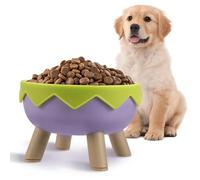 Hohopeti Small Cat Food Bowl Raised Dog Bowl 5 Pcs Ergonomic Tilted Plastic Elevated Structure with Neck Protection Design and Anti Slip Base for Dog and Small Pets