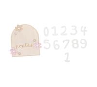 Hohopeti Wooden Monthly Milestone Cards 12 Months Milestone Sign Decorative Newborn Accessory Photo Prop Baby Announcement