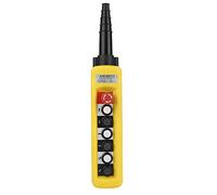 Hoist Push Button Switch, Hoist Switch Control, Crane Hoist Control Hoist Switch Controller Crane Chain Lifting Pendant Controller with Emergency Stop