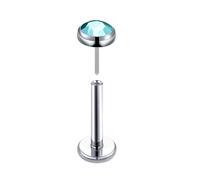 Hoisy 16g Cartilage Earrings Stud Titanium 1.2x8mm, Round with Cubic Zirconia, Mens Nose Ring Silver Lake Blue