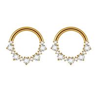 Hoisy 2Pcs G23 Titanium Cartilage Piercing Earring Hoop 16 Gauge 1.2x8mm, Hoop with Cubic Zirconia, Gold Nose Rings for Men