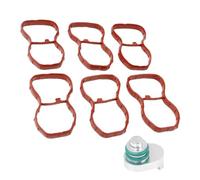 Hoite Intake Swirl Flap Plugs Delete Kit with Manifold Gaskets Old N57 Plugs for BMW 3 5 7 Series 11618511363