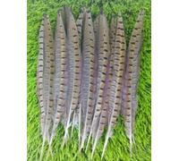 HoitoDeals 10Pcs Natural Pheasant Feather 25-30cm Tails for Crafts Various DIY Birthday Party Wedding Home Decorations