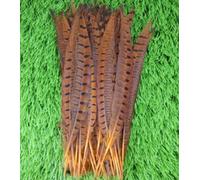 HoitoDeals 10Pcs Orange Pheasant Feather 25-30cm Tails for Crafts Various DIY Birthday Party Wedding Home Decorations
