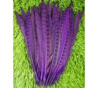 HoitoDeals 10Pcs Purple Pheasant Feather 25-30cm Tails for Crafts Various DIY Birthday Party Wedding Home Decorations