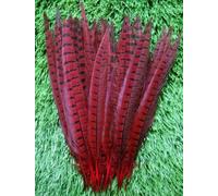 HoitoDeals 10Pcs Red Pheasant Feather 25-30cm Tails for Crafts Various DIY Birthday Party Wedding Home Decorations
