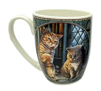 HoitoDeals 1Pcs Mug Lisa Parker The Witches Apprentice Cat Porcelain Mug Tea Coffee Hot Drinks