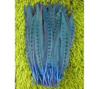 HoitoDeals 5Pcs Dark Blue Pheasant Feather 25-30cm Tails for Crafts Various DIY Birthday Party Wedding Home Decorations