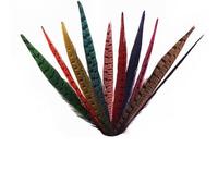 HoitoDeals 5Pcs Mixed Pheasant Feather 25-30cm Tails for Crafts Various DIY Birthday Party Wedding Home Decorations