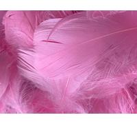 HoitoDeals Baby Pink Soft Decorative Colored Feathers for DIY, Art & Crafts, Wedding, Birthday Festival, Dream Catcher etc. (100Pcs (Mixed Sizes))