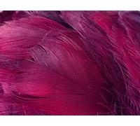 HoitoDeals Burgundy Soft Decorative Colored Feathers for DIY, Art & Crafts, Wedding, Birthday Festival, Dream Catcher etc. (100Pcs (Mixed Sizes))