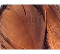 HoitoDeals Dark Brown Soft Decorative Colored Feathers for DIY, Art & Crafts, Wedding, Birthday Festival, Dream Catcher etc. (100Pcs (Mixed Sizes))