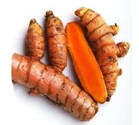 HoitoDeals Fresh & Raw Indian Turmeric Curcuma Roots Whole Haldi