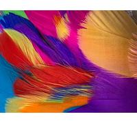 HoitoDeals Mixed Solid Soft Decorative Colored Feathers for DIY, Art & Crafts, Wedding, Birthday Festival, Dream Catcher etc. (100Pcs (Mixed Sizes))