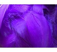 HoitoDeals Purple Soft Decorative Colored Feathers for DIY, Art & Crafts, Wedding, Birthday Festival, Dream Catcher etc. (100Pcs (Mixed Sizes))