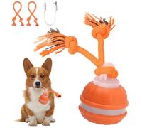 Hojalis Interactive Dog Toys Ball with Motion Activated, Moving Dog Toy for Boredom with 2 Replacement Chew Ropes, Rechargeable Automatic Rolling Ball Toys to Keep Them Busy for Small Dogs & Puppy