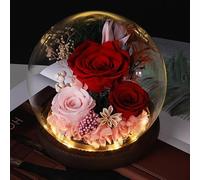 Hojalis Preserved Eternal Rose in Glass Dome, Glass Rose with LED Light, Real Flowers, Forever Love Gifts for Women Mom Wife Girlfriend, Birthday Valentine's Day Mother's Day(Red)