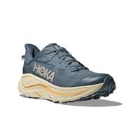 Hoka Challenger 8 Faded Navy Pampass Grass